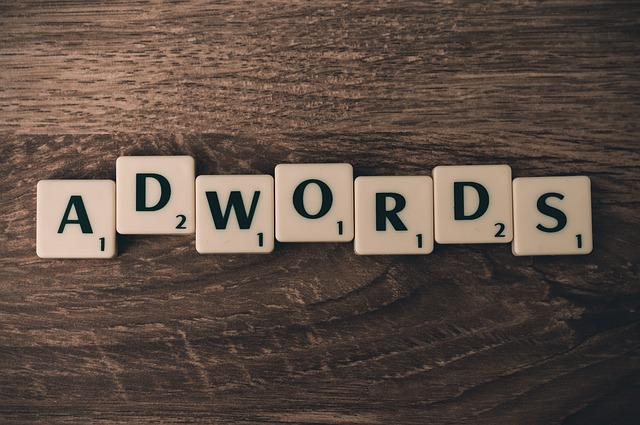 Profesjonalista  w dziedzinie kampani Adwords pomoże i dobierze godziwą metode do twojego biznesu.