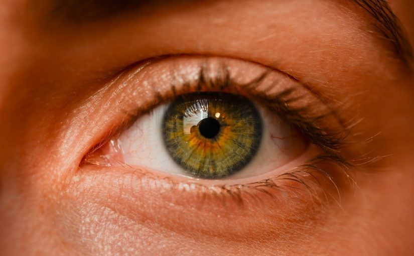Oczy to wyrafinowany organ. To dokładnie dzięki nim doświadczamy.