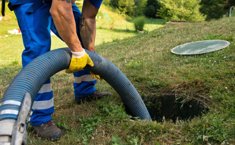 W jaki sposób dbać o naturę? Praktyczny przewodnik na temat usuwania zanieczyszczeń a także kontrolowaniu nieczystościami